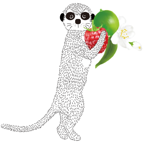 ミーアキャット