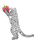 ミーアキャットさんの画像