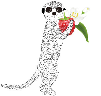 ミーアキャットくんの画像