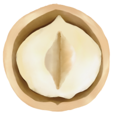 ナッツの画像
