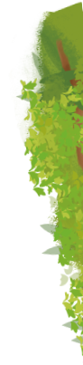 植物のイラスト