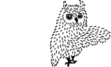 ふくろうのイラスト
